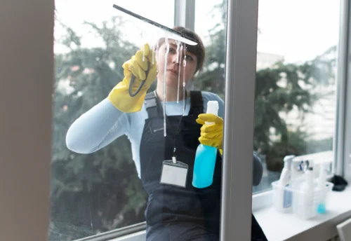 Nettoyage de vitres intérieures et extérieures à Nohanent